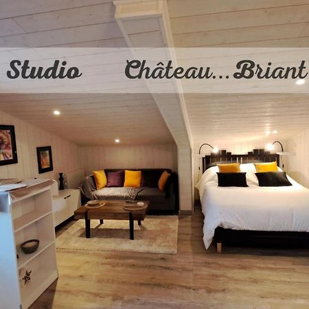 Studio-Centre Ville Châteaubriant Eksteriør bilde